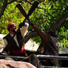 Adventureland Indiana Jones show, June 2008