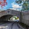 Disneyland Autopia May 2016