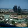 Disneyland Autopia photo, 1958