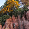 Big Thunder Mountain Ranch photo, March 2012