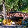 Big Thunder Mountain Ranch, June 2008