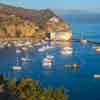 Catalina Island, November 2020