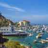 Catalina Island June 2004