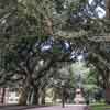 Battery Park, Charleston, South Carolina photo, October 2008