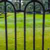 Drayton Hall, Charleston, South Carolina photo, October 2008