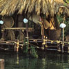 Disneyland Franklyn Taylor Adventureland photo, 1950s