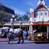 Disney World, April 1975