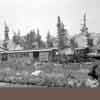 Disneyland E.P. Ripley and scenery along the Rivers of America 1956