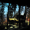 Grand Canyon Diorama, August 2008