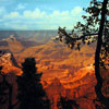 Grand Canyon Diorama, November 2009