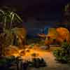 Disneyland Primeval World Diorama December 2015