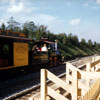 Disneyland Frontierland Station 1955