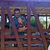 Disneyland Railroad riding through Frontierland, 1956