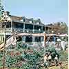 Disneyland Chicken Planation Restaurant, 1950s