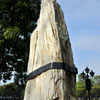 Disneyland Frontierland Petrified Wood photo, October 2011