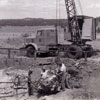 Loading of Petrified Tree