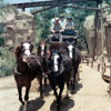 Disneyland Stagecoach photo, 1958