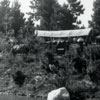 Disneyland Stagecoach, July 1957