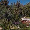 Disneyland Conestoga Wagon, September 1959