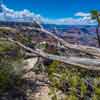 The Grand Canyon May 2016