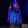 Disneyland Haunted Mansion Bride Photo