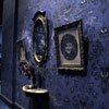 Haunted Mansion Raven and Funeral January 2011