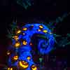 Disneyland Haunted Mansion Holiday October 2014