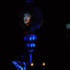 Disneyland Haunted Mansion Holiday Madame Leota November 2010