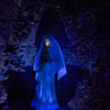 Disneyland Haunted Mansion Little Leota January 2013