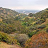 Runyon Canyon March 2012