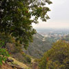 Runyon Canyon March 2012