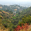 Runyon Canyon March 2012