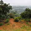 Runyon Canyon March 2012