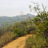 Runyon Canyon March 2012