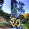 Runyon Canyon June 2012