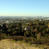 Runyon Canyon January 2011