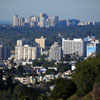 Runyon Canyon January 2011