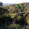 Runyon Canyon January 2011