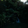 Jungle Cruise photo, 1950s