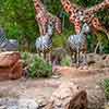 Jungle Cruise African Veldt May 2015