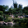 Jungle Cruise African Veldt, June 25, 1965