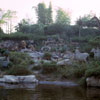 Disneyland Jungle Cruise African Veldt, December 1965