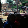 Disneyland Jungle Cruise African Veldt, April 1977