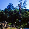 Disneyland Jungle Cruise African Veldt photo, July 1967