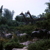 Jungle Cruise African Veldt, September 1965