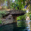 Disneyland Jungle Cruise back side of water January 2013