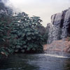 Disneyland Jungle Cruise Schweitzer Falls photo, August 27, 1956