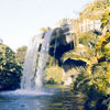 Schweitzer Falls at Disneyland photo, July 28, 1958