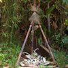 Jungle Cruise, August 2007