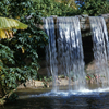 Disneyland Jungle Cruise Schweitzer Falls, aka the back side of water, 1950s